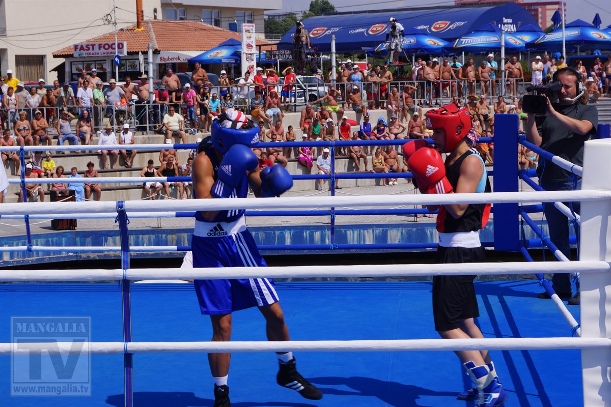 box mangalia