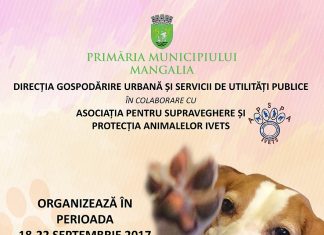 MANGALIA: Campanie gratuită de sterilizare pentru câini