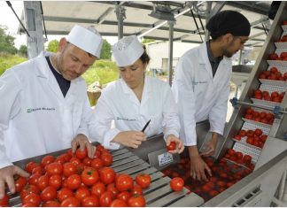 În atenţia producătorilor agricoli din judeţul Constanţa! AFIR primeşte cererile de finanţare aferente Schemei GBER pentru sM 4.2 “Sprijin pentru procesarea produselor agricole” din PNDR 2020