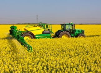 În atenţia cultivatorilor de rapiţă din judeţul Constanţa! Informare fitosanitară privind produsele de protecție a plantelor cu autorizare temporară