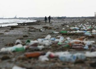 “ORASUL MEU CURAT!” – actiune de ecologizare si salubrizare a plajei si parcurilor din Mangalia.