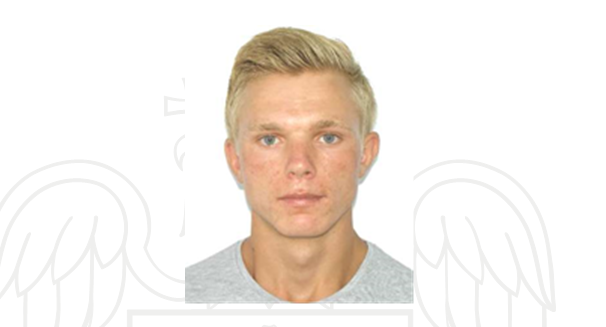 ilie ion