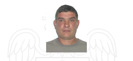 mamulea