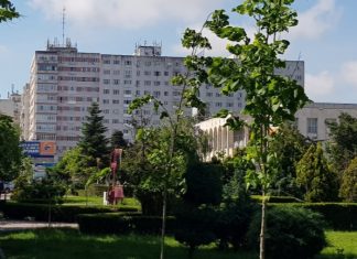 TRIANON – denumirea propusă de Universitatea „ANDREI ŞAGUNA” pentru parcul de la Casa de Cultură