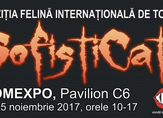 Expoziția Felină Internațională de Toamnă SofistiCAT “HalloWinner Cat Show”