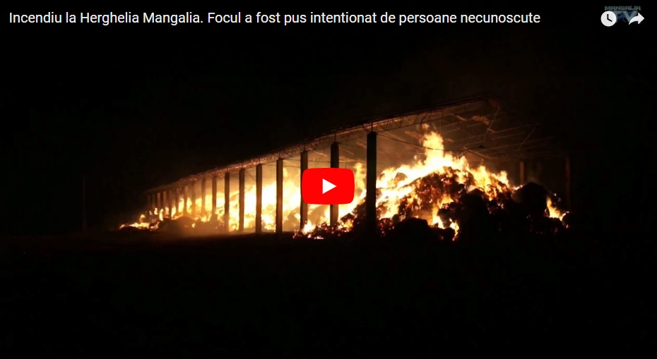 incendiu herghelie mangalia