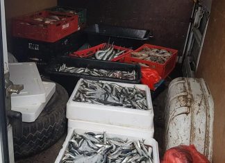 Un barbat din Mangalia a fost depistat de jandarmi comercializând peşte fără îndeplinirea condiţiilor legale