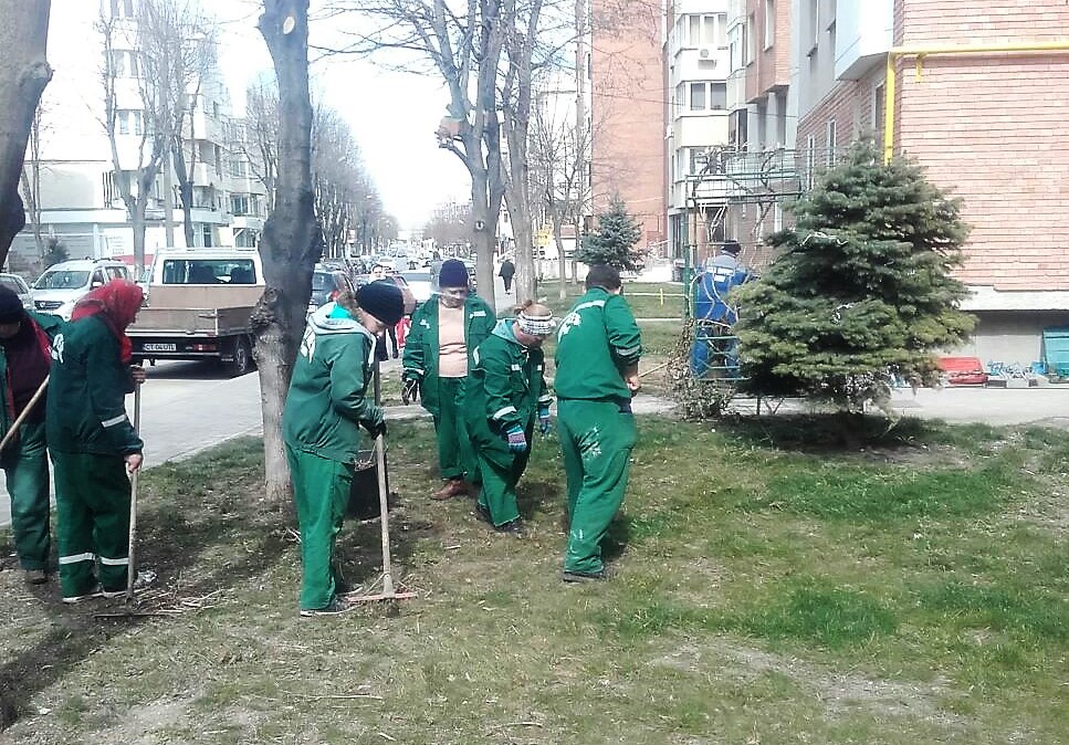 foto igienizare spatii verzi