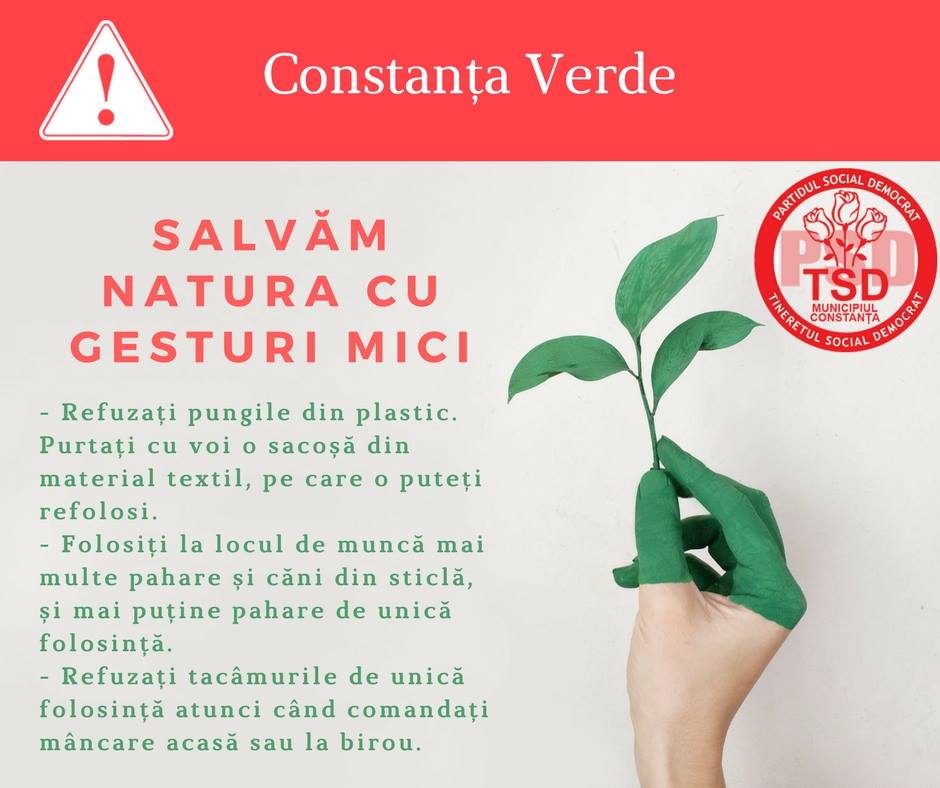 Constanta Verde