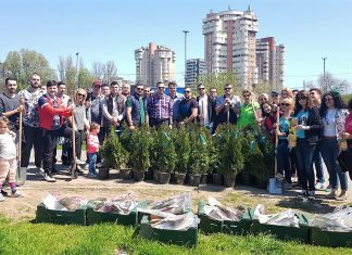 Campania “Constanţa Verde”, inițiată de Organizația Municipală a Tineretului Social Democrat Constanța, prinde rădăcini! Zona din apropierea Pasajului subteran de la Gară a fost înfrumusețată cu sute de trandafiri și arbuști ornamentali