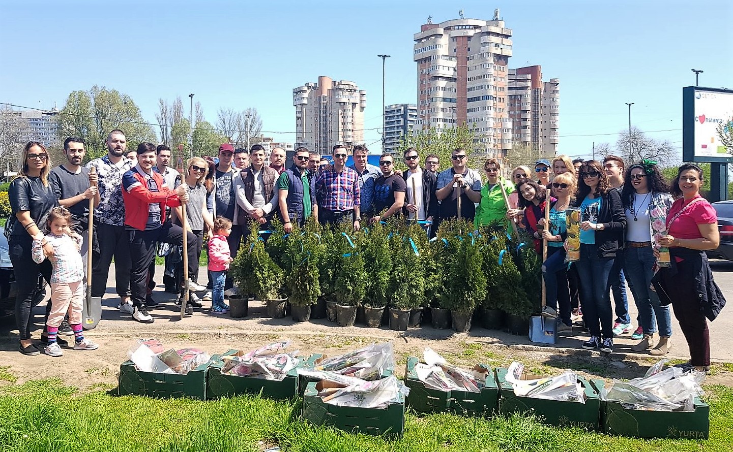 Plantare Constanta Verde