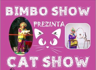 Spectacolul pentru copii “Cat Show”, pe scena Casei de Cultura din Mangalia