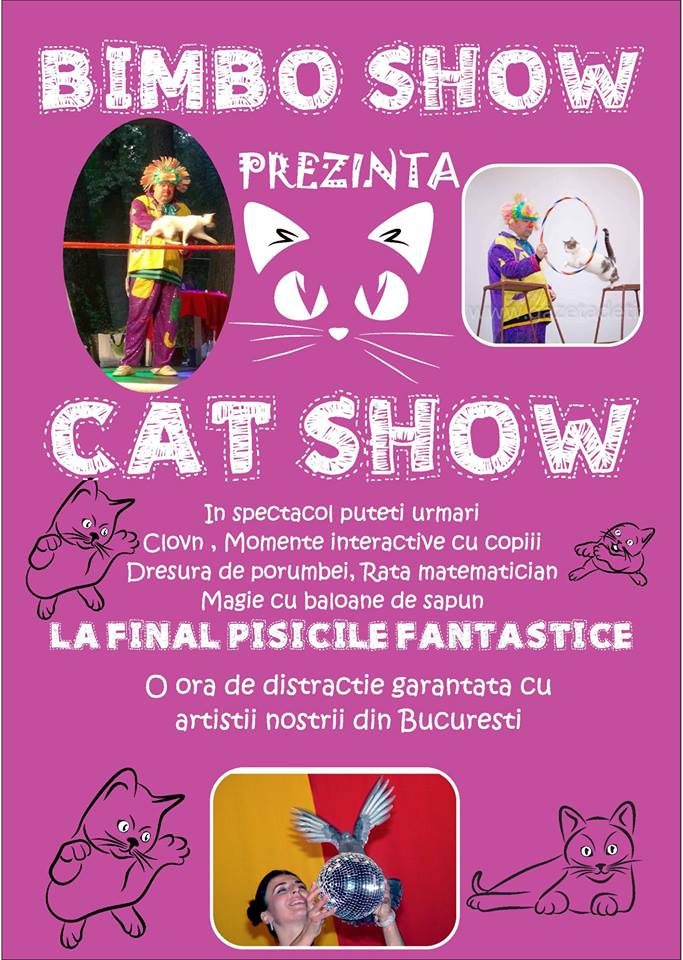 cat show