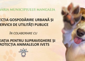 Campanie gratuită de sterilizare pentru câini și pisici, la Mangalia