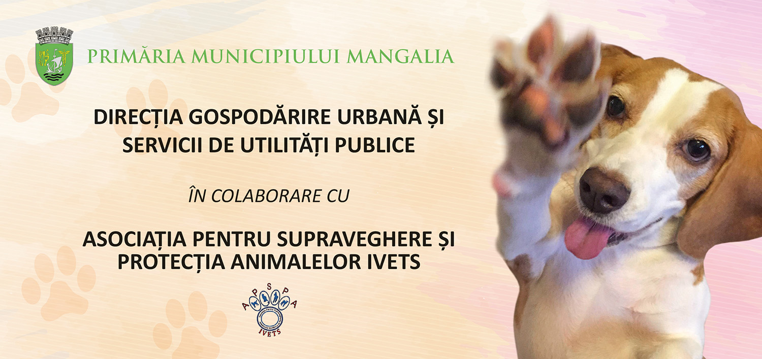 Flyer sterilizare