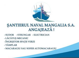 Se caută angajați pentru Șantierul Naval Mangalia