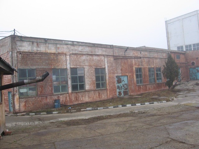 letea bacau