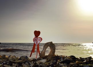 Valerian Şarînga: De la mal de mare, pentru voi, doamnelor! La mulți ani!