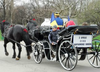3 aprilie, Ziua Jandarmeriei Române