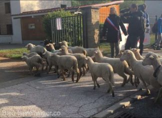 15 oi au fost înscrise la școală, într-un sat din Franța, pentru a se evita închiderea unei clase