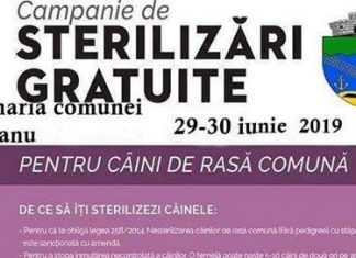 Campanie gratuită de sterilizare pentru câini de rasă comună, la Limanu