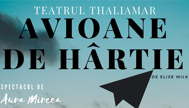 avioane de hartie