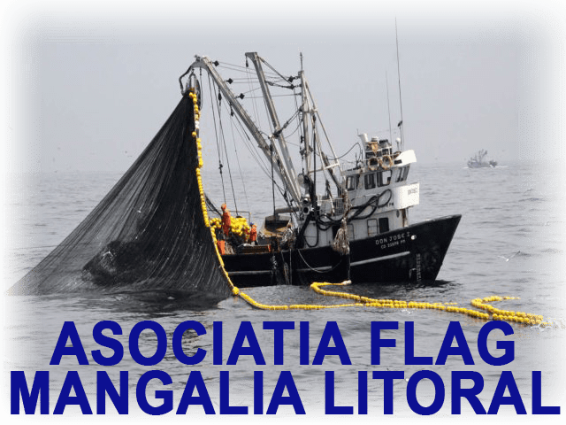 AsociatiaFlagLitoral