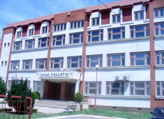 Vanessa-Andreea Vernica, elevă a Liceului Teoretic “Callatis”, va reprezenta județul Constanța la etapa națională a Olimpiadei de Istorie