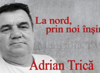 Adrian Trică, psiholog: ”La Nord, prin noi înșine – Nevoia de gândire critică”