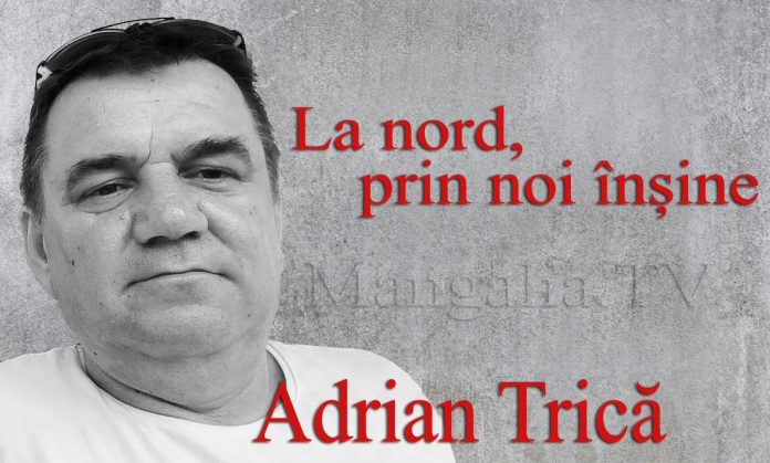 adrian trica psiholog