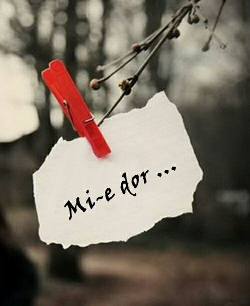 mi-e-dor-de-tine