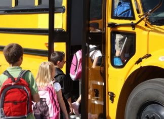 Propunerile Ministerului Educației privind facilitățile de transport acordate elevilor