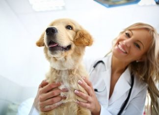 15 mai – Ziua Medicului Veterinar