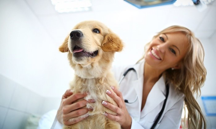 ziua medicului veterinar