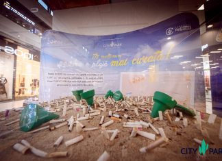 Opere de artă-statement, din chiștocuri colectate de pe litoral, licitate în beneficiul naturii, la City Park Mall. Fondurile strânse vor merge către continuarea acțiunii de plantare din Ovidius Park Constanța