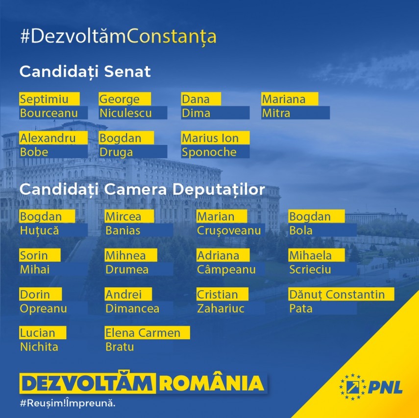 Pnl Constanta alegeri parlamentare