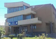 Primăria Limanu informează cetățenii despre riscurile rabiei și măsurile de prevenire