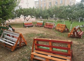Școala Gimnazială ”Gala Galaction” din Mangalia are o “sală de clasă” în aer liber, chiar în livada școlii!