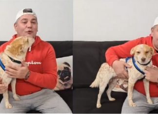 VIDEO Imagini cu câinele incendiat de minori și salvat de un ONG. Cum se simte acum patrupedul și ce nume a primit