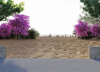 Se plantează prima barieră verde pe litoralul românesc. Peste 650 de puieți pe o lungime de aproximativ patru kilometri