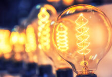 Se sistează furnizarea energiei electrice la Avicola Mangalia