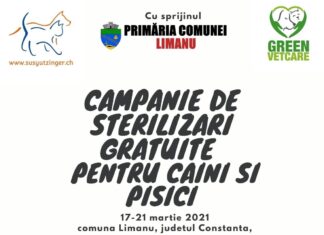 LIMANU: Campanie de sterilizări gratuite a câinilor şi pisicilor