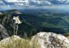 5 martie – Ziua florii de colţ. Tradiție și legendă