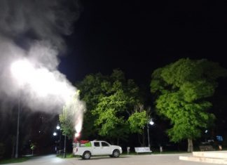 Campanie de dezinsecție terestră și aviochimică, în sudul litoralului