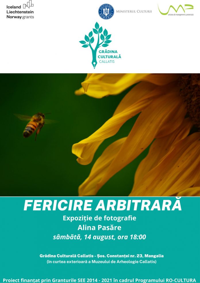 Fericire-Arbitrara-Expozitie-foto-Alina-Pasare_Mangalia