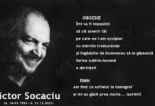 Victor SOCACIU: Obsesie și RMN (poeme și aforisme)