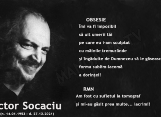 Victor SOCACIU: Obsesie și RMN (poeme și aforisme)