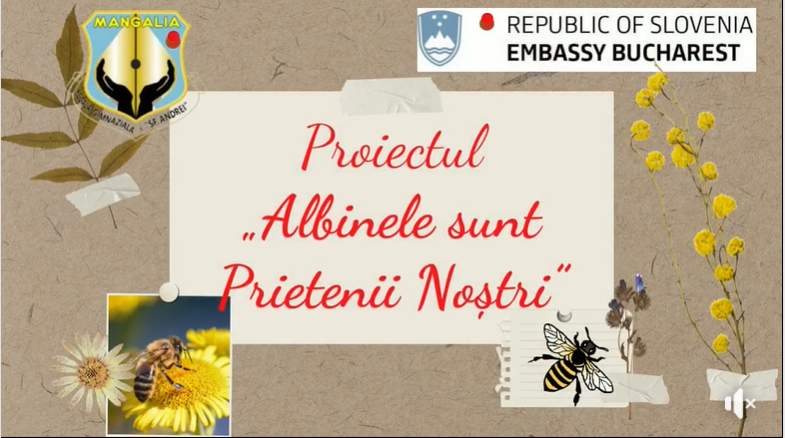 Albinele-sunt-Prietenii-Nostri- Mangalia