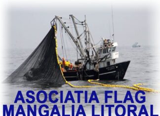 Asociația FLAG Mangalia Litoral angajează EXPERT TEHNIC, prin selecție de dosare