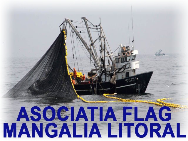 FLAG-Mangalia-Litoral